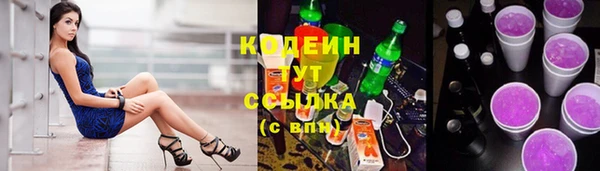 индика Михайловск