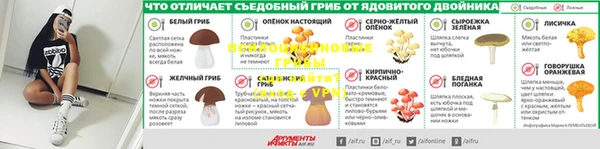 ешки Надым