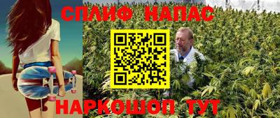 твердый Гай