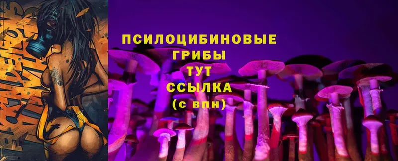 ОМГ ОМГ маркетплейс  Зеленодольск  Псилоцибиновые грибы Psilocybe 