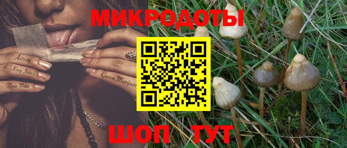 Псилоцибиновые грибы Magic Shrooms Зеленодольск