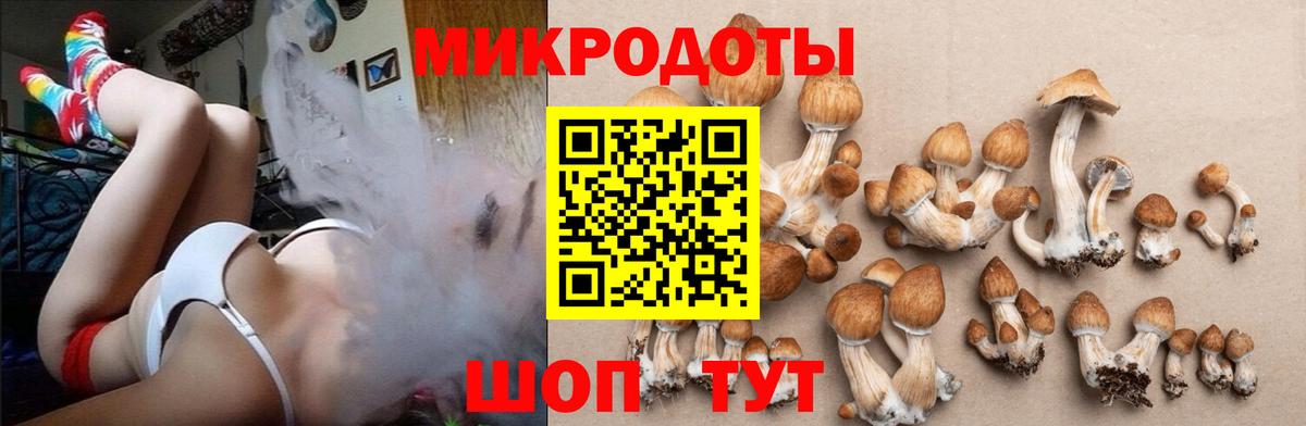 Зеленодольск  Галлюциногенные грибы мухоморы  Вход с VPN 